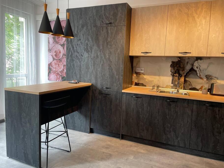 3 Bedroom Apt, Spacious, Near South Park Appartement