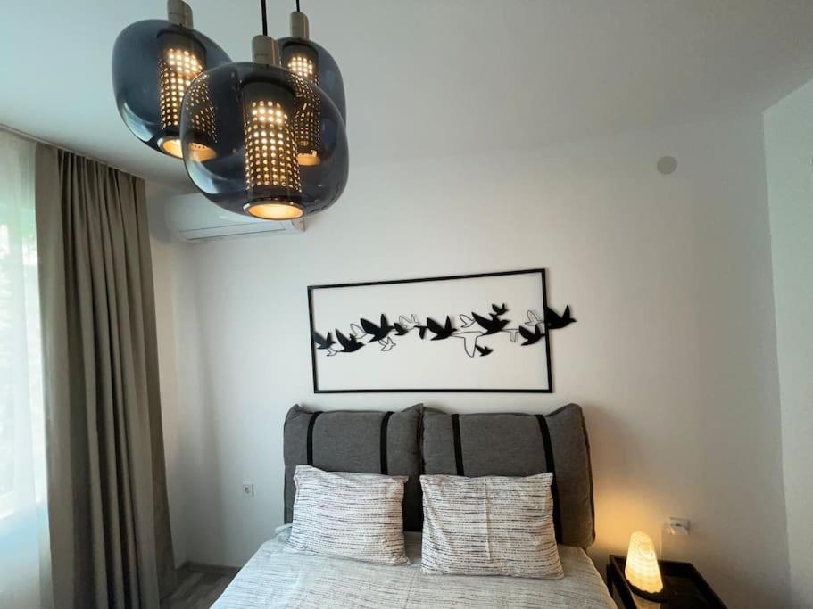 3 Bedroom Apt, Spacious, Near South Park * Sofia