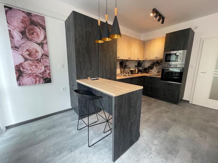 3 Bedroom Apt, Spacious, Near South Park Appartement