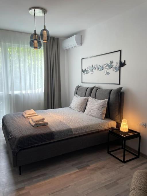 Appartement 3 Bedroom Apt, Spacious, Near South Park *